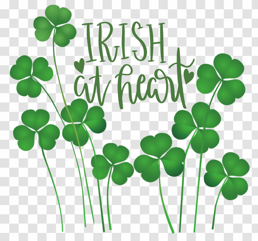 Shamrock Irish Saint Patrick Transparent PNG