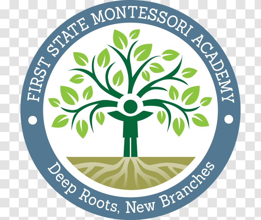 First State Montessori Academy Middle School Education - Learning Transparent PNG