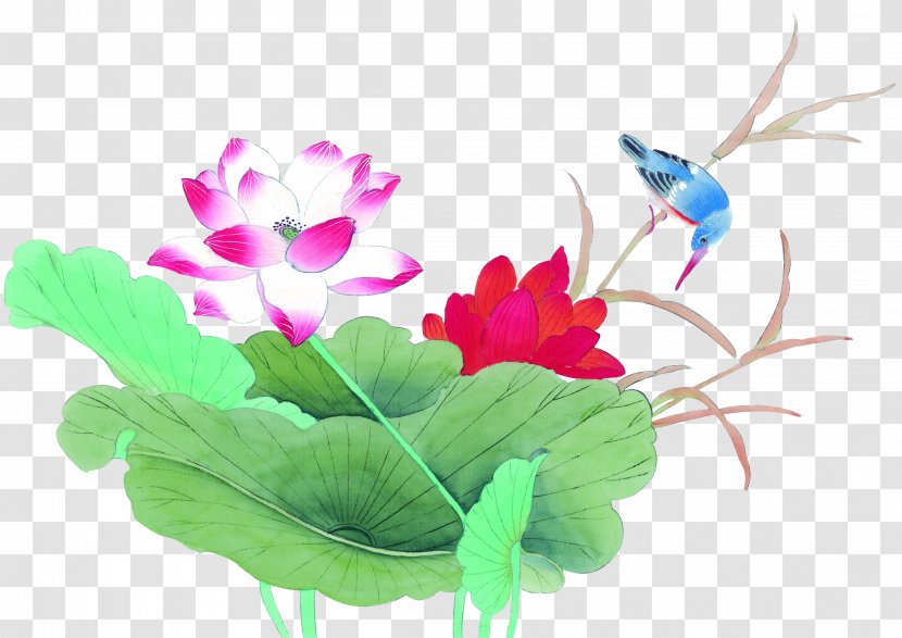 Bird Ink Wash Painting Nelumbo Nucifera Chinese Gongbi - Flower - Lotus Transparent PNG