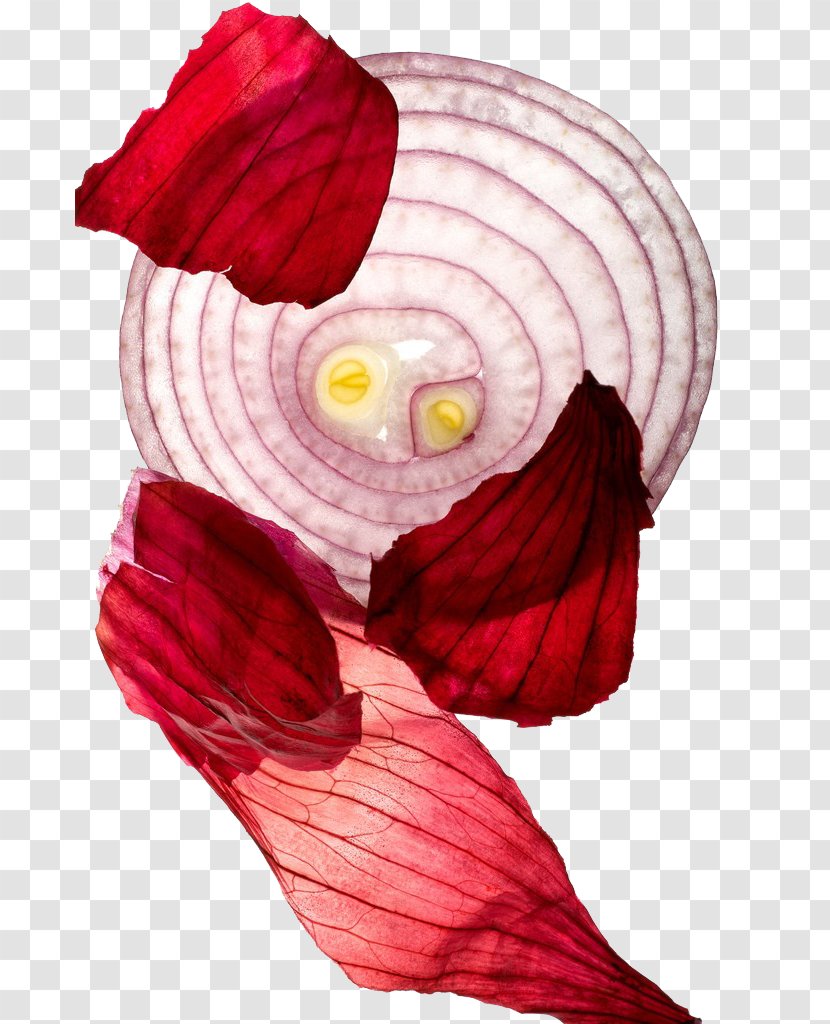 Hamburger Sofrito Red Onion - Garlic Transparent PNG