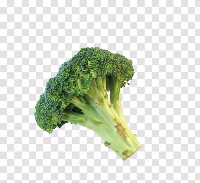Broccolini Romanesco Broccoli Cauliflower - Leaf Vegetable Transparent PNG