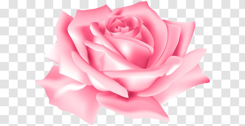 Clip Art Rose Flower Image - Floribunda - Pink Flowers Transparent PNG