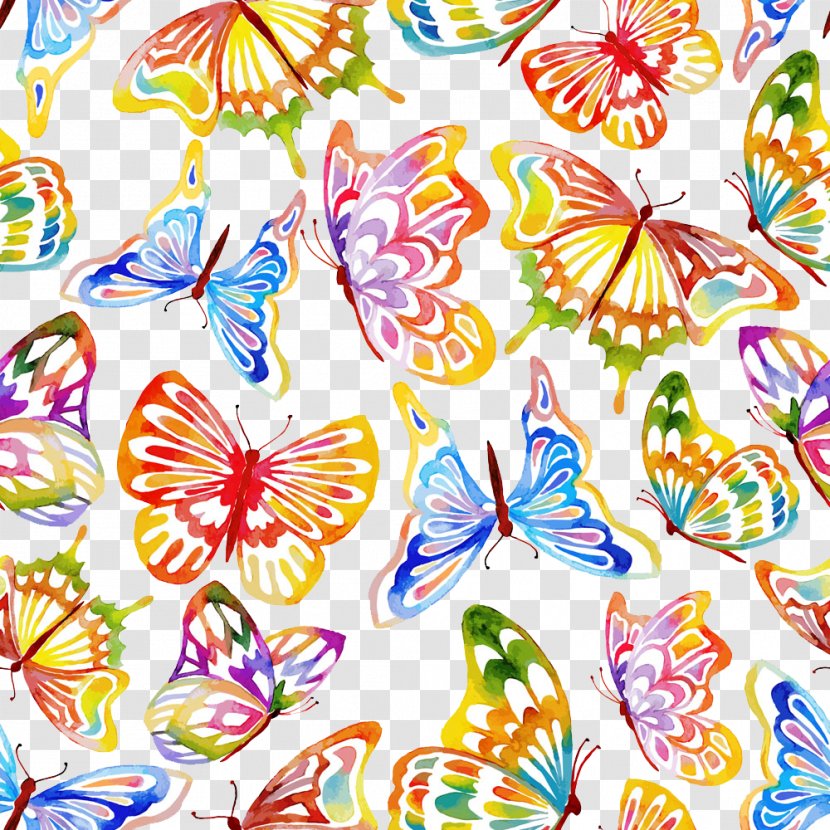 Butterfly Photography Illustration - Monarch - Hand-painted Background Transparent PNG