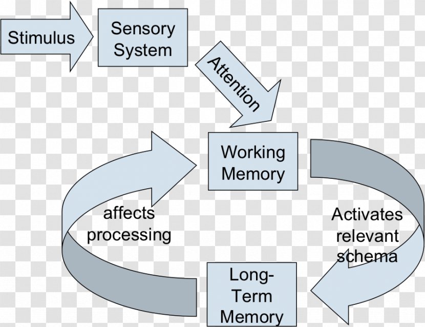 Working Memory Long-term Short-term Cognitive Load - Understanding - Training Transparent PNG