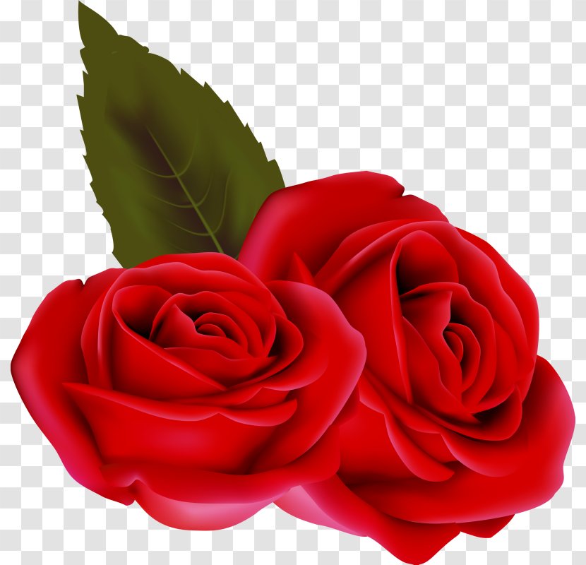Valentine's Day Flower Clip Art - Petal - Saint Valentines Transparent PNG