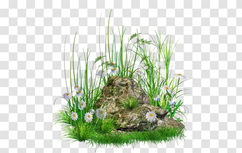 Rock Clip Art - Granite - Stone With Grass And Flowers Clipart Transparent PNG