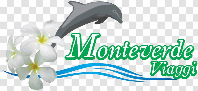 Monteverde Viaggi Srl Travel Agent Tourism Last Minute - Organism Transparent PNG