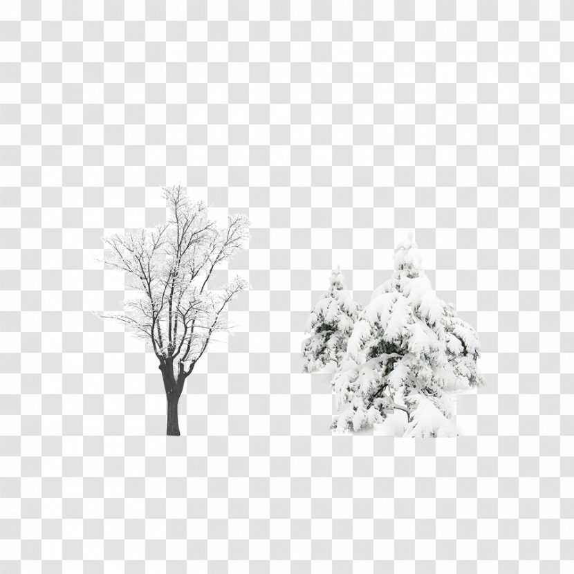 Snow Tree Computer File - Plant - After The Vector Source Transparent PNG