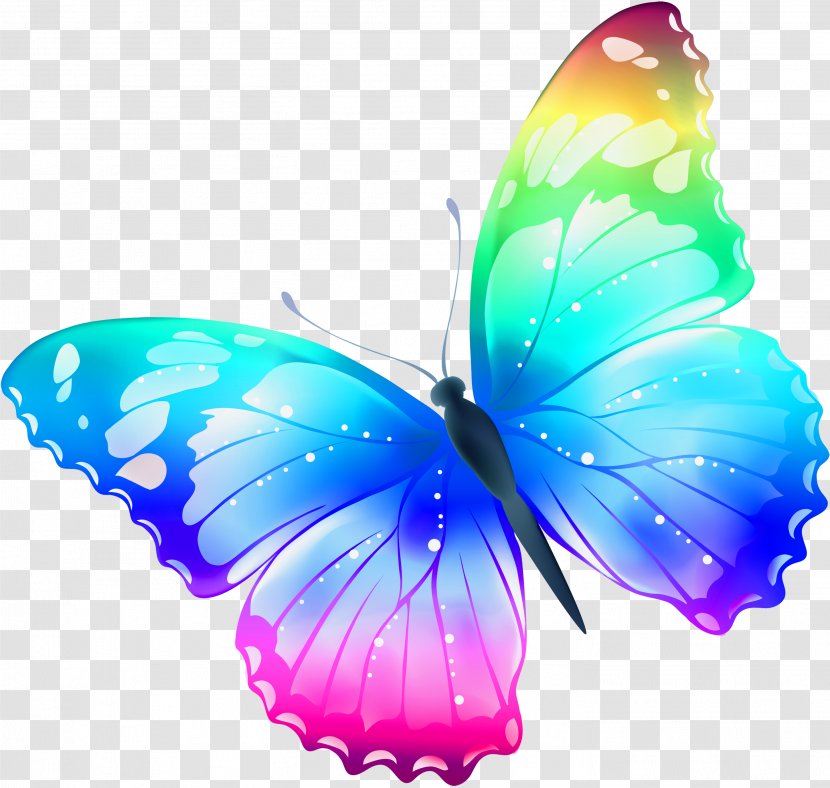 Butterfly Pink Cat Drawing Clip Art - Butterflies And Moths - Buterfly Transparent PNG