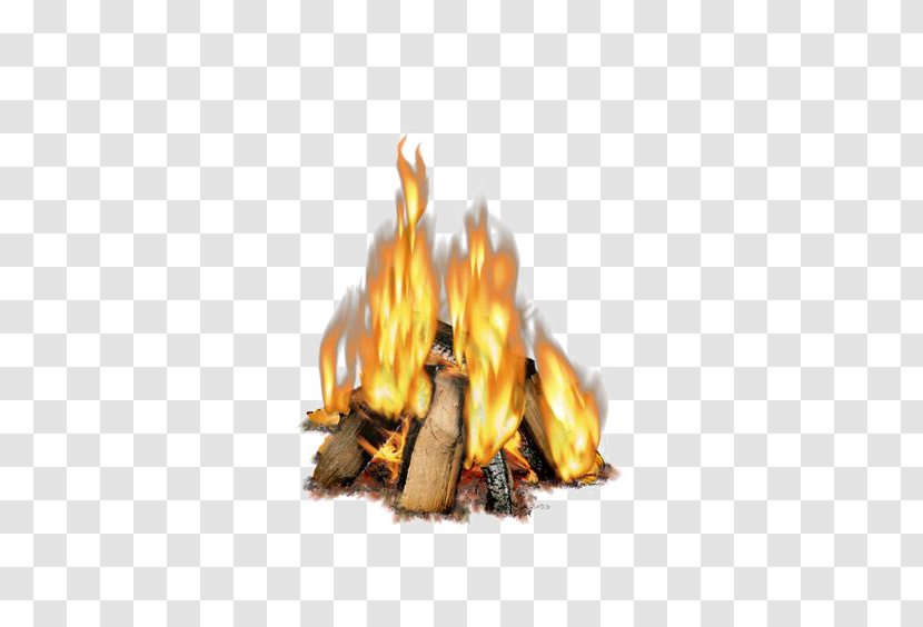 Fire Material - Frame - Cartoon Transparent PNG