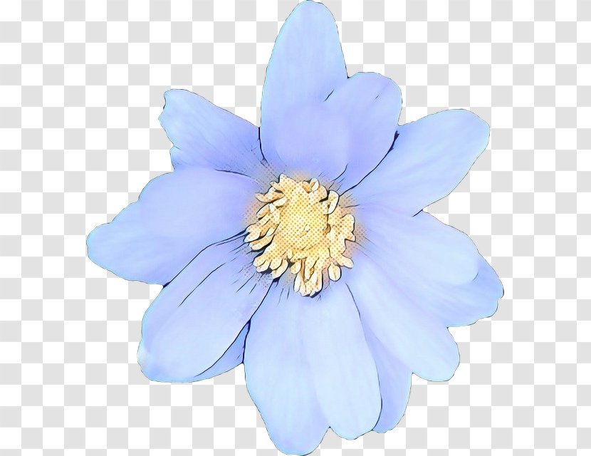 Flowering Plant Petal Flower Blue - Wildflower - Water Lily Anemone Transparent PNG