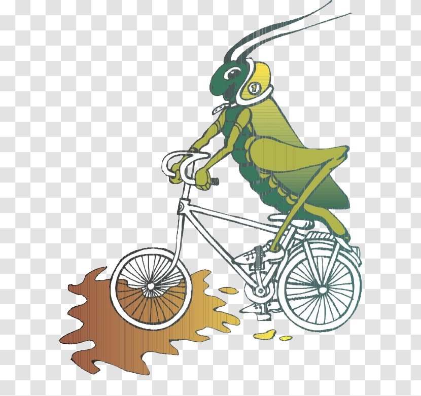 Clip Art - Beak - Grasshopper Transparent PNG