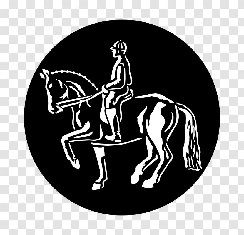 English Riding Dressage Horse Bridle Supplies - Animal Sports - Recreation Equestrianism Transparent PNG