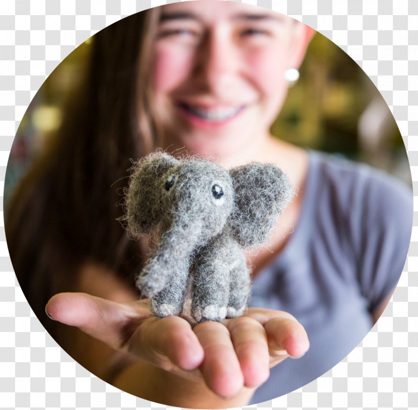 Koala 4-H Summer Camp Animal Child Transparent PNG