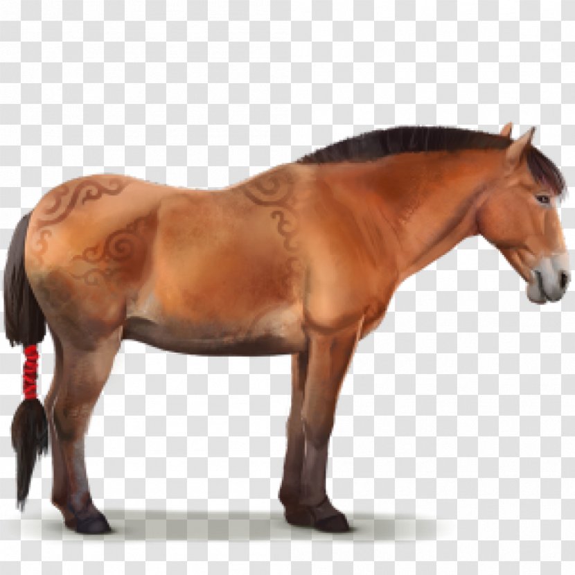 Arabian Horse Nangchen Mongolian Howrse American Paint - Chincoteague Pony - Riding Transparent PNG