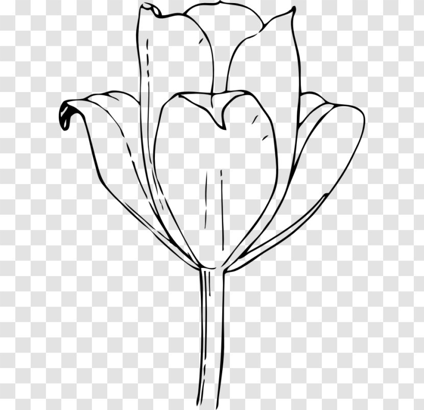 Coloring Book Drawing Line Art Floral Design Tulip - Heart Transparent PNG