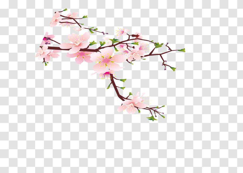 Wall Bird Room Peach Flower - Branch - Blossom Transparent PNG