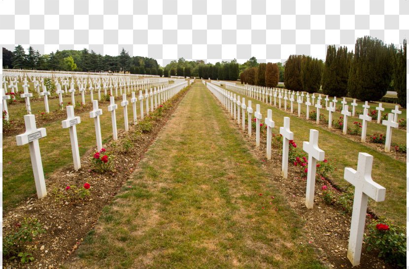 Verdun Memorial Shanghai Cemetery Battle Of - Tree - France A Transparent PNG