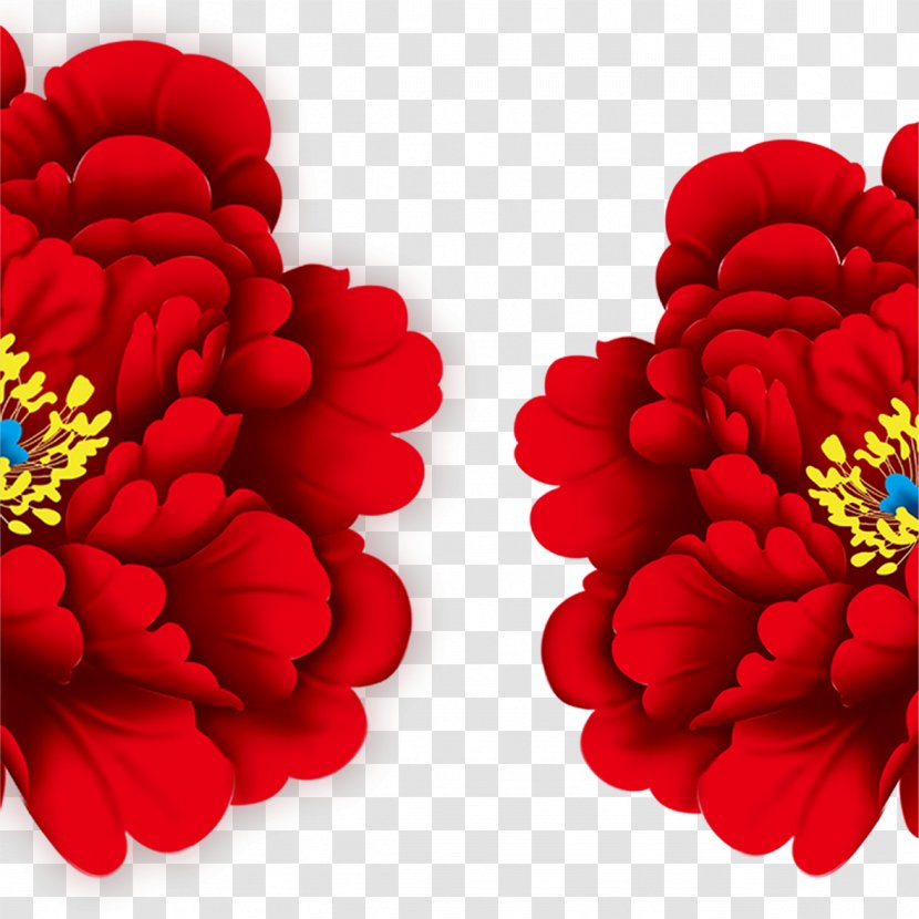 .dwg - Peony - Flowers Transparent PNG