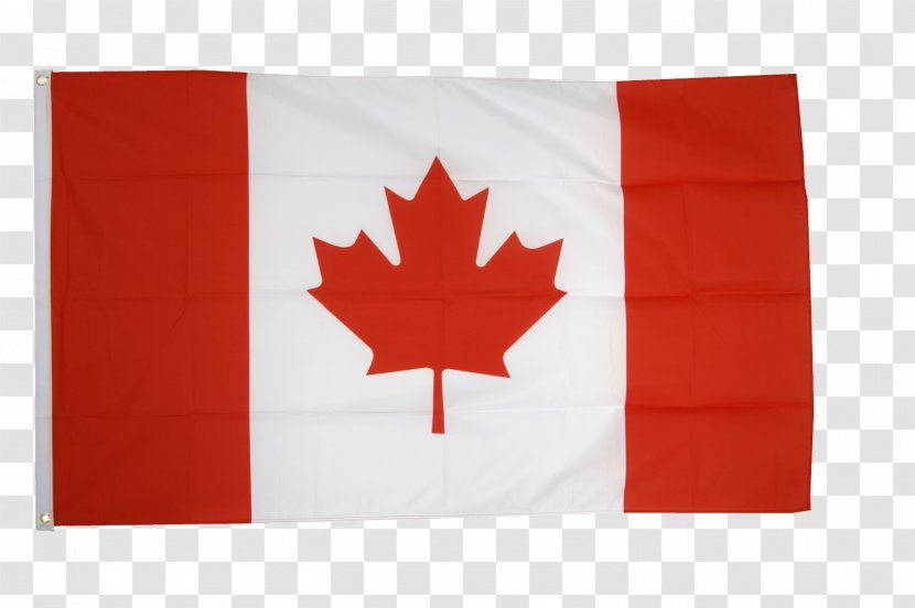 2018 Winter Olympics Canadian Shield Radon Testing & Mitigation Olympic Games Canada Men's National Ice Hockey Team Flag Of - Taiwan Transparent PNG