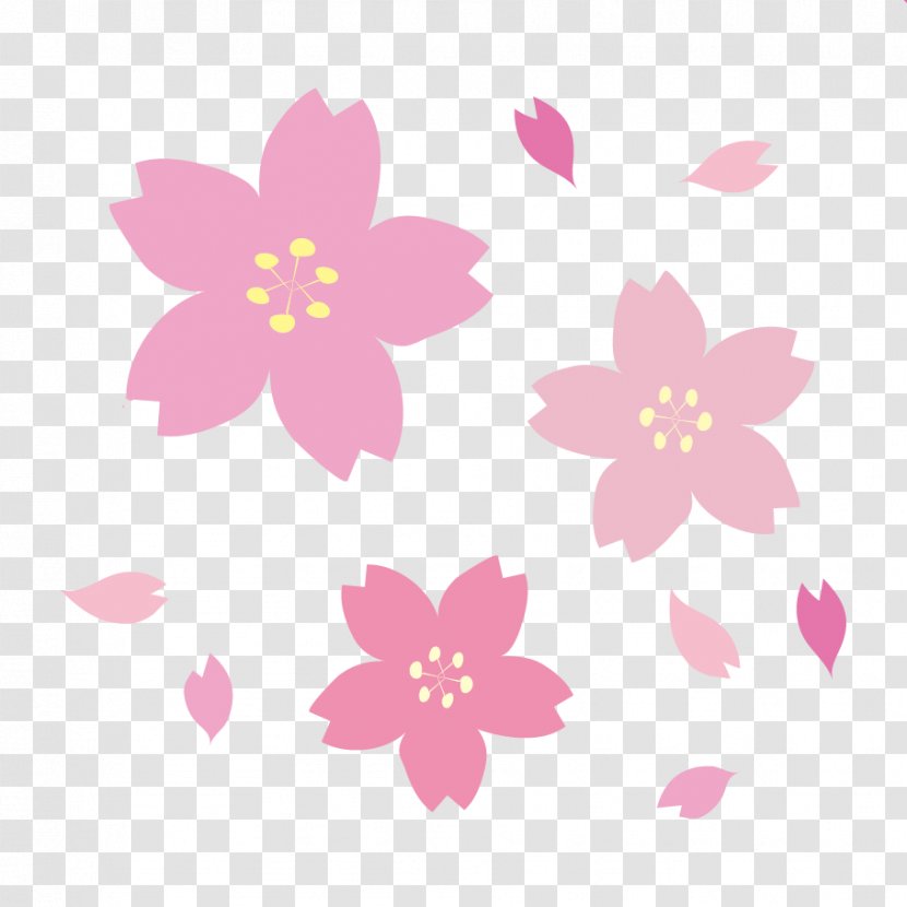 2017 National Cherry Blossom Festival Paper - Flower Transparent PNG
