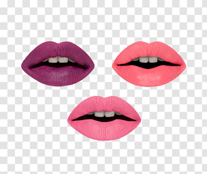 Cosmetics Lipstick Color Make-up - Makeup - Make Up Transparent PNG