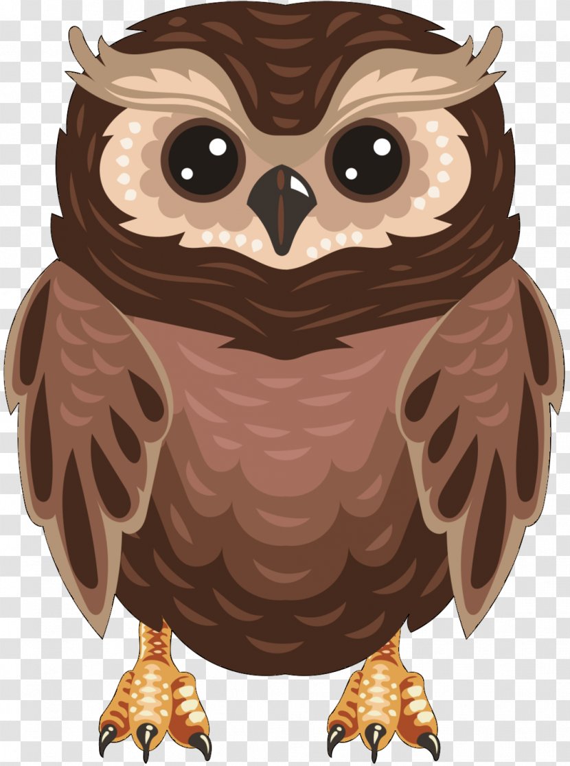 Owl Image Photograph Download - Animal - Bird Of Prey Transparent PNG