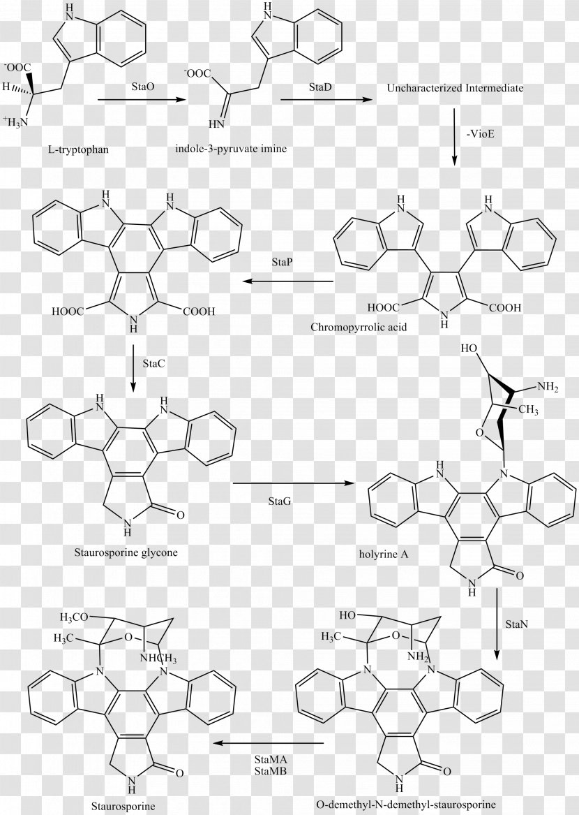 Staurosporine Midostaurin Chemical Synthesis Pharmaceutical Drug CD135 - Drawing - Therapy Transparent PNG