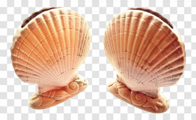 Beach Background - Ballet Shoe - Shellfish Seafood Transparent PNG