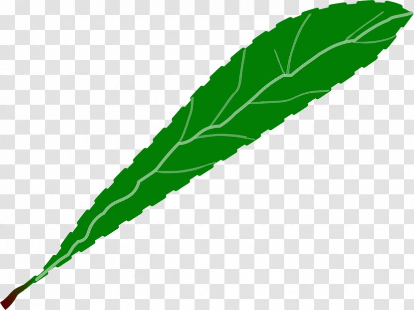 Leaf Green Clip Art - Serrated Edge Transparent PNG