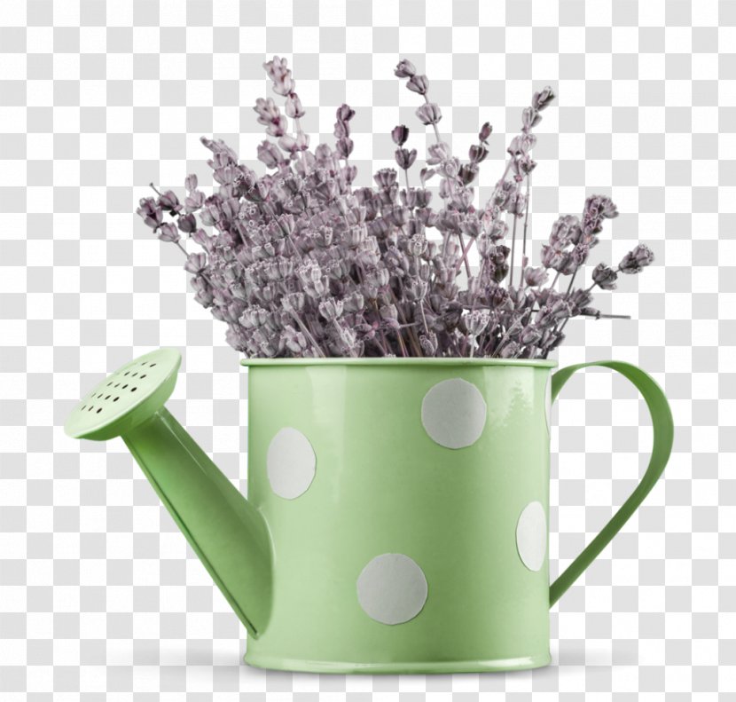 Lavender Watering Cans Herb Flowerpot Plant - Coffee Cup Transparent PNG