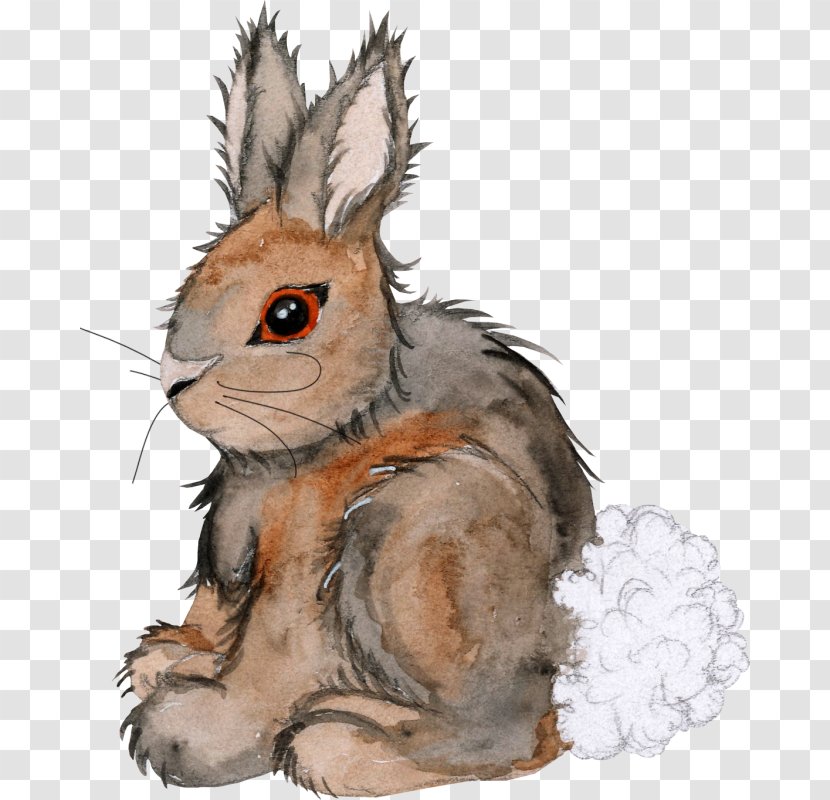 Domestic Rabbit Hare Rodent Clip Art - Tail Transparent PNG