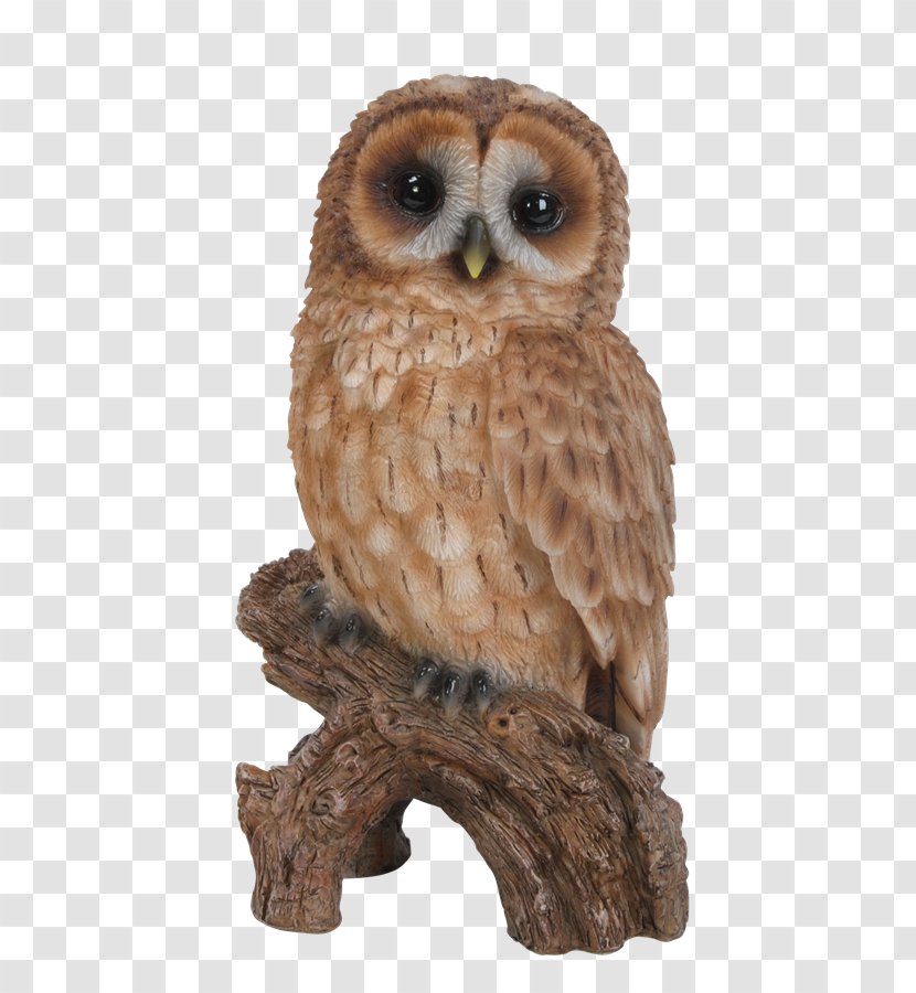 Tawny Owl Statue Sculpture Bird - Yard - Garden Lights Transparent PNG