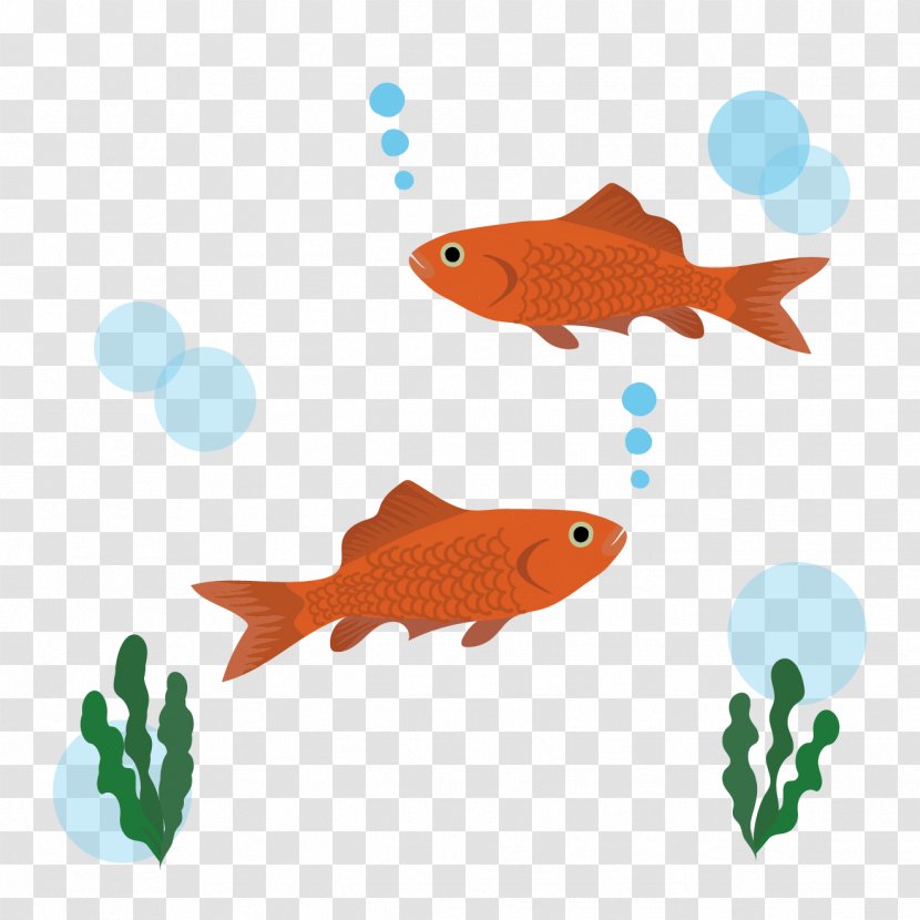 Goldfish Illustration Ecosystem Akwarium Kulowe Transparent PNG