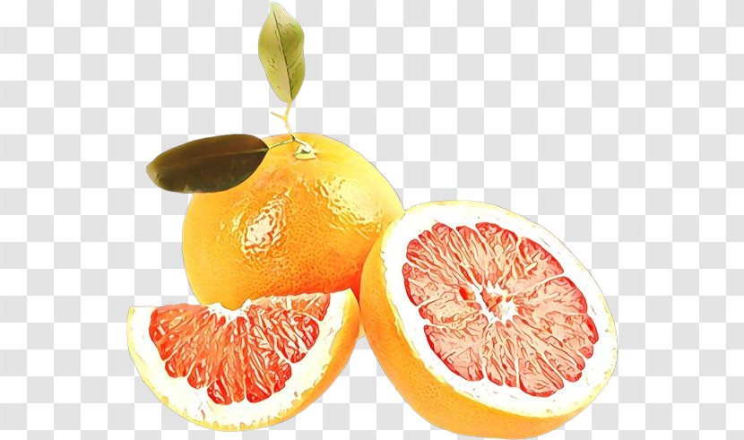 Lemon Cartoon - Rangpur - Seedless Fruit Superfruit Transparent PNG