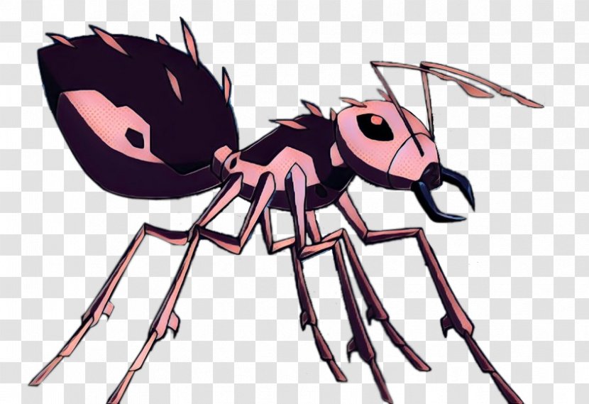 Spider Cartoon - Orbweaver Tarantula Transparent PNG