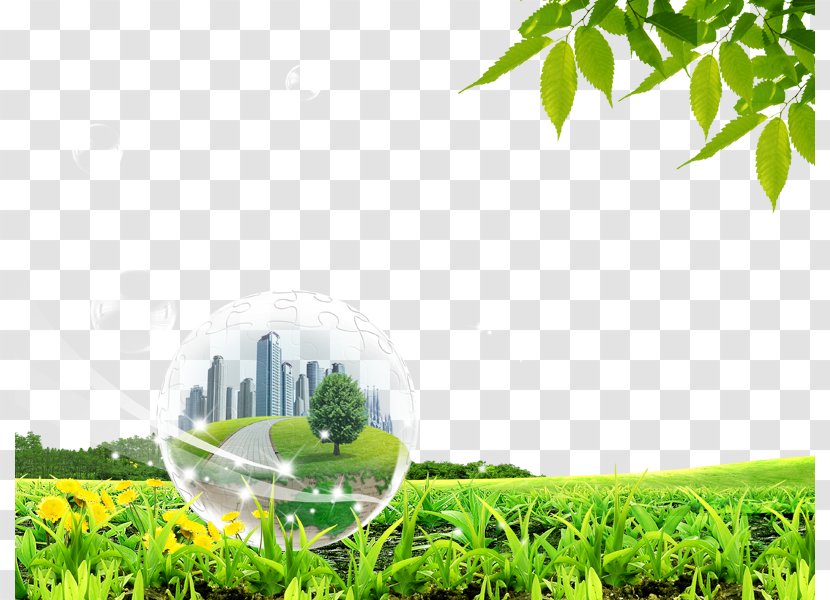 Download Designer - Sunlight - Glass Balls In The Modern City Transparent PNG