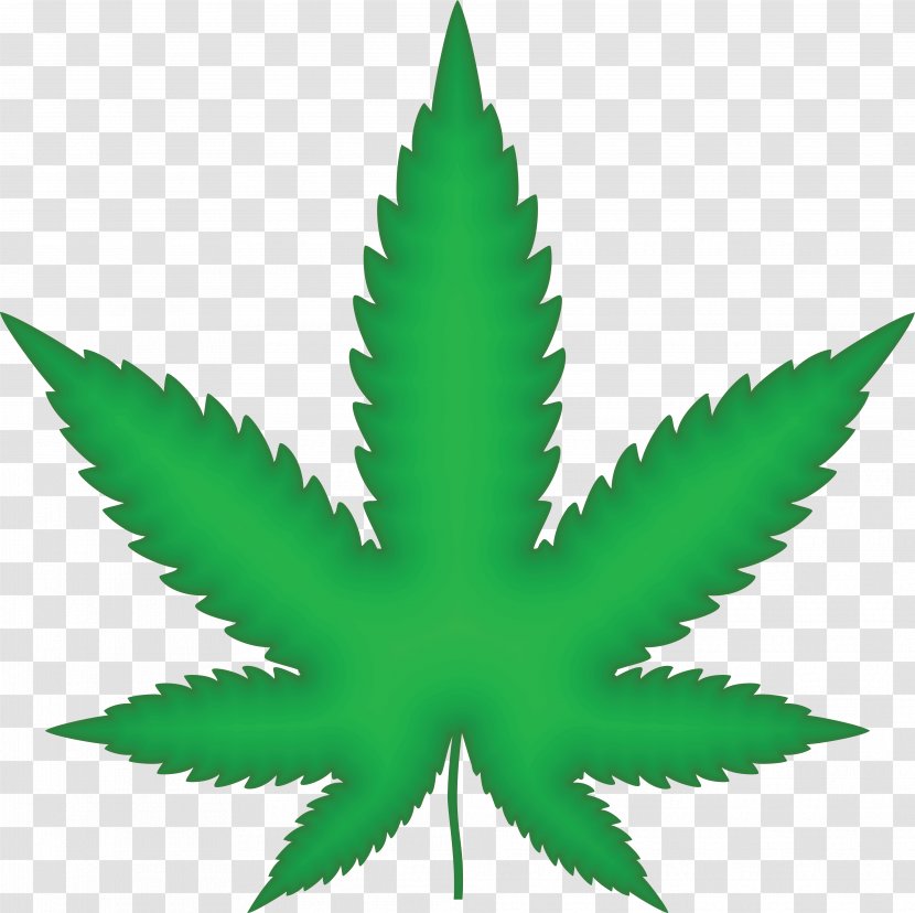 Medical Cannabis Drawing Hemp Clip Art - Tree - Weed Transparent PNG