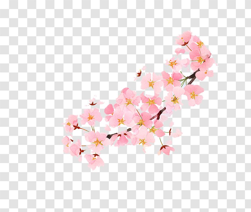 Lander Game U3042u3084u304bu3057u3080u3059u3073 Falling In Love - Plant - Pink Cherry Blossoms Full Bloom Transparent PNG
