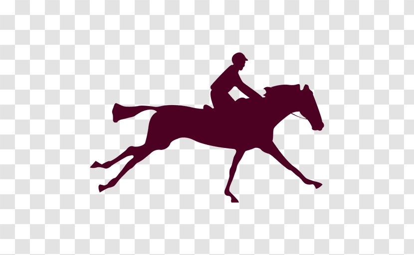 Equestrian Flip Book Irish Sport Horse Animation Cob - Rein Transparent PNG