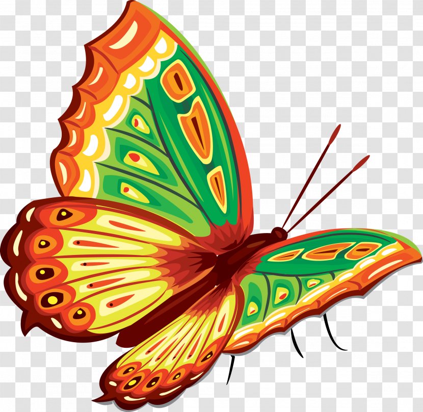 Butterfly Clip Art - Pollinator - Flies Transparent PNG