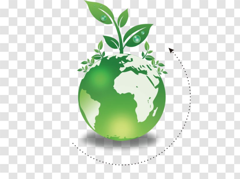 Green Leaf Plant World Earth - Apple Fruit Transparent PNG