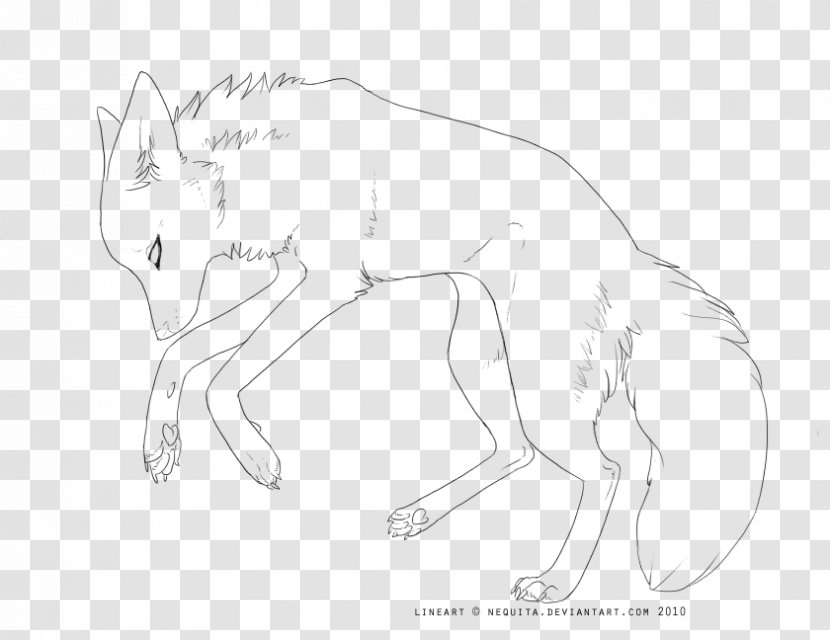 Line Art Drawing Gray Wolf DeviantArt - Neck - Lineart Transparent PNG