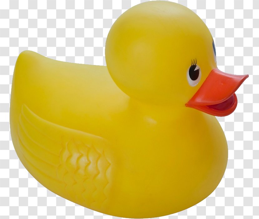 Rubber Duck Yellow Toy Badleksak Transparent PNG