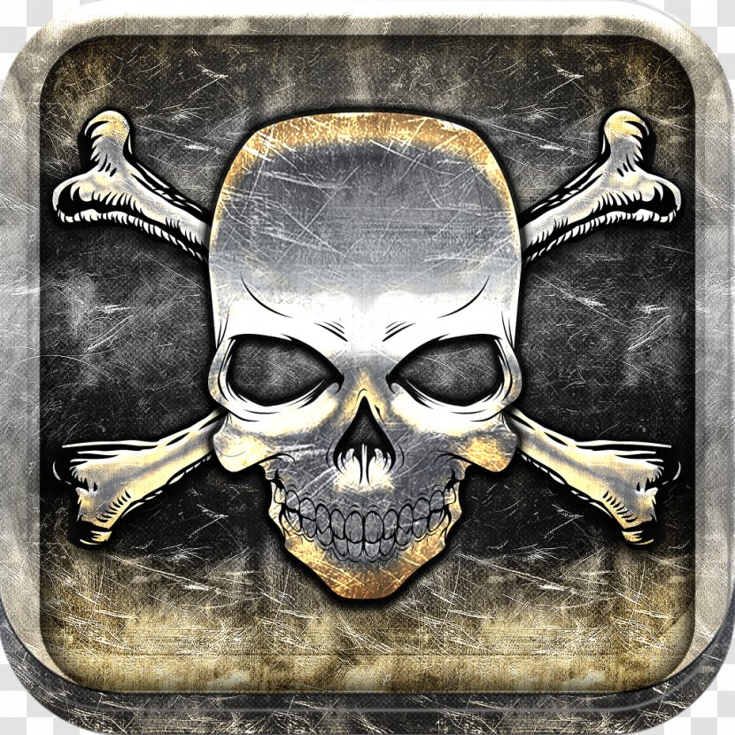 Skull - Bone Transparent PNG