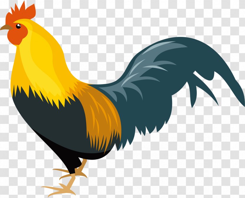 Chicken Bird Rooster Beak Wing - Tail Livestock Transparent PNG
