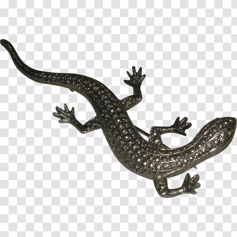 Reptile Lizard Common Iguanas Gecko Desktop Wallpaper Transparent PNG
