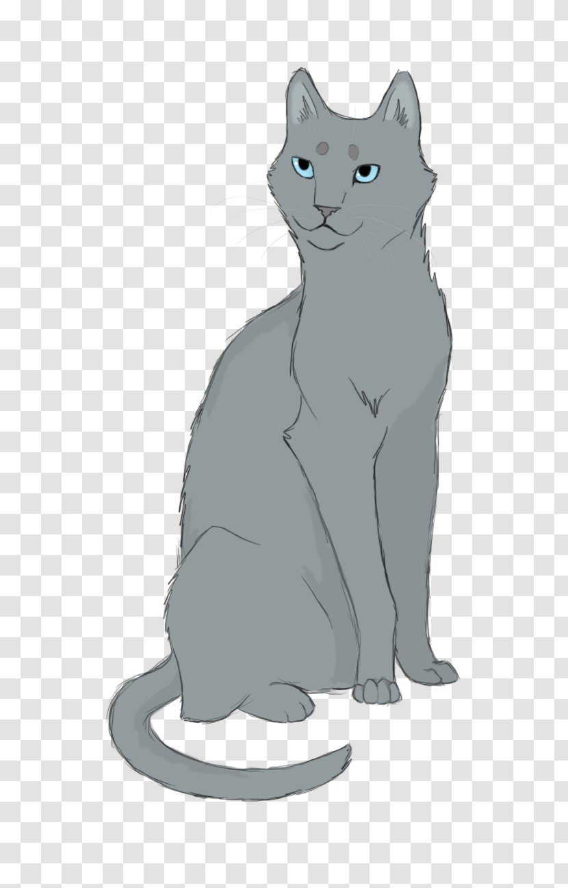 Whiskers Korat Kitten Domestic Short-haired Cat Dog - Like Mammal Transparent PNG