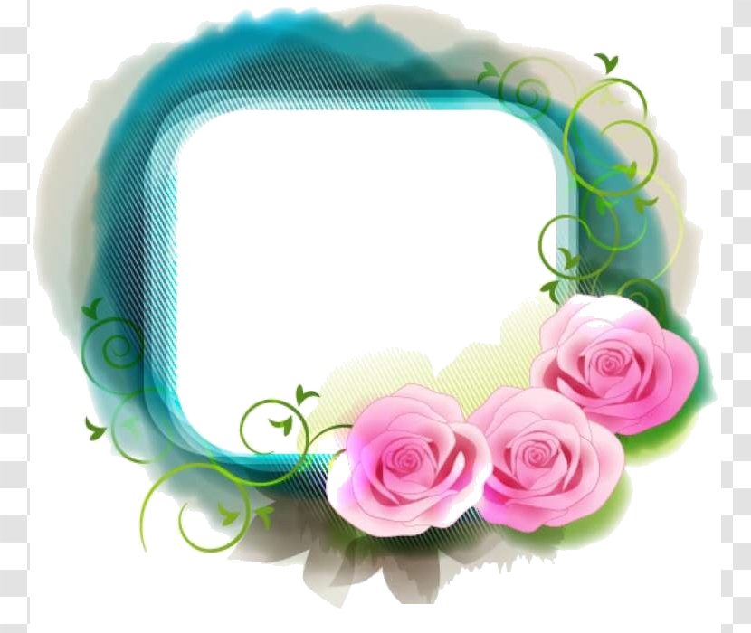 Design - Floral - Rose Family Transparent PNG