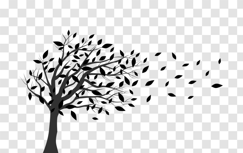 Wall Decal Tree Fototapet Wind - Holly - Autumn Transparent PNG